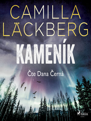 cover image of Kameník